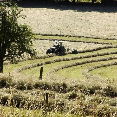 Wiesenzauber *