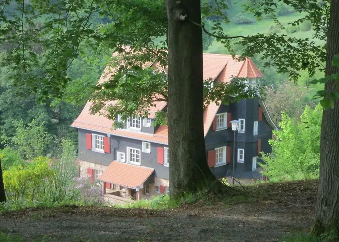 Wiesenzauber 公寓 *